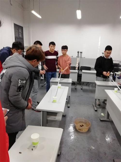 m1545223239237863.jpg m1545223239237863.jpg